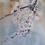 Flores de almendro