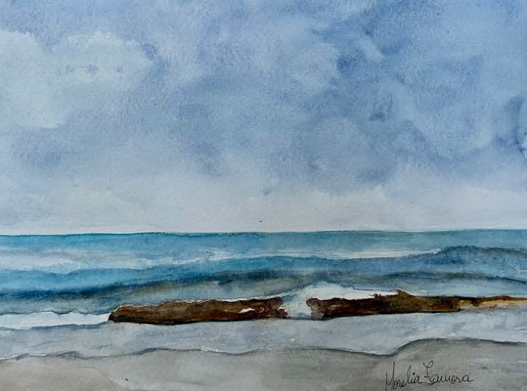 Autor: Morelia Zamora
Título: Serie del mar, lo que arrastra la corriente
Medidas: 21 x 28,5 cm
Técnica : Acuarela/papel